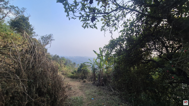 Land for sale in Chithirapuram, Idukki
