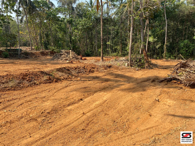 Land for sale at Erumapetty, Thrissur