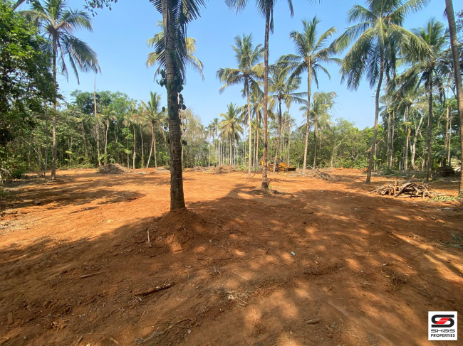 Land for sale at Erumapetty, Thrissur