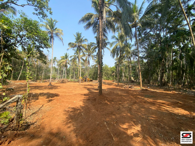 Land for sale at Erumapetty, Thrissur