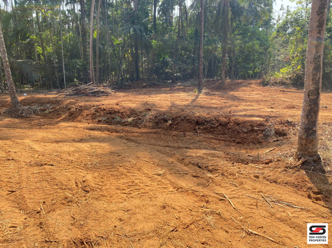 Land for sale at Erumapetty, Thrissur