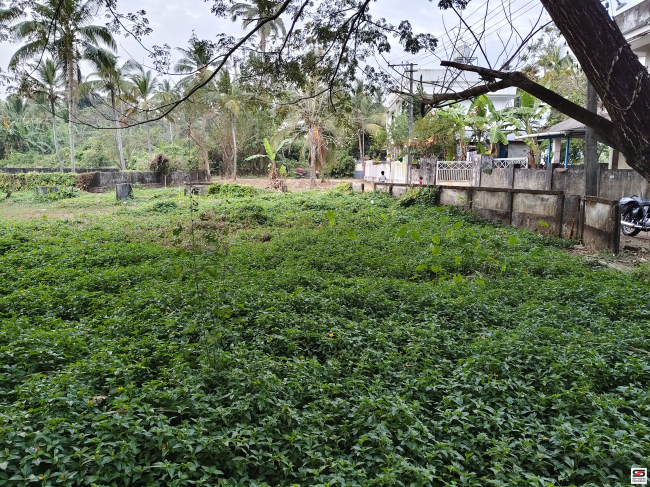 House plot for sale in Choondal, Thrissur