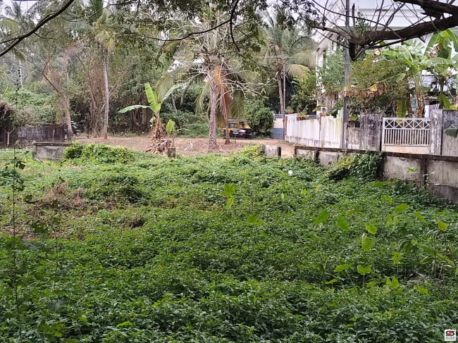 House plot for sale in Choondal, Thrissur