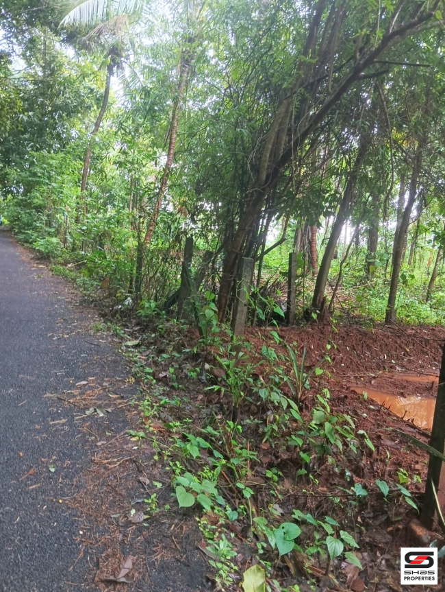Land for sale in Ambalapara, Palakkad