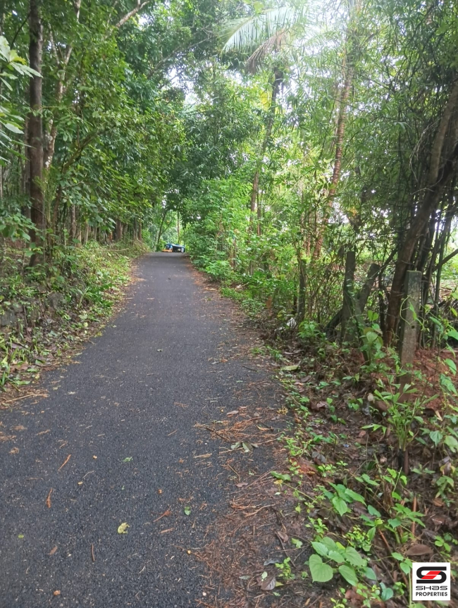Land for sale in Ambalapara, Palakkad
