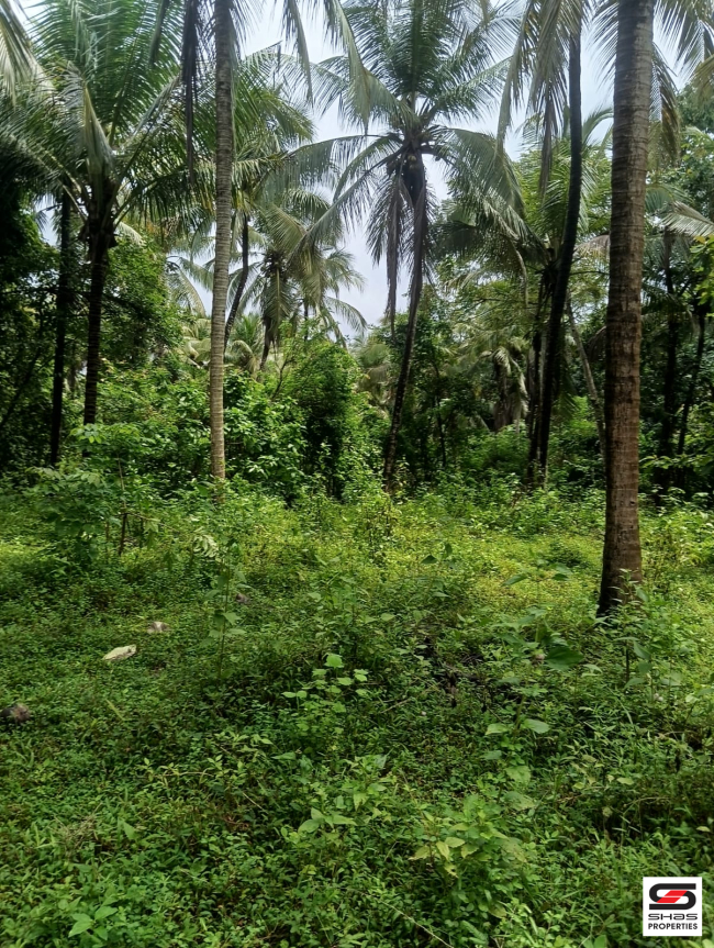 Land for sale in Ambalapara, Palakkad
