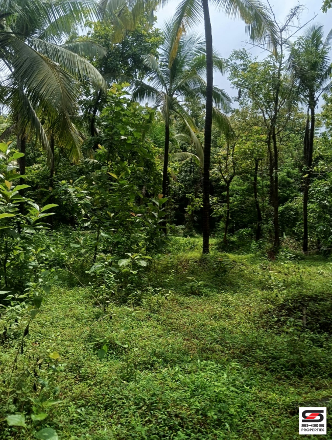 Land for sale in Ambalapara, Palakkad