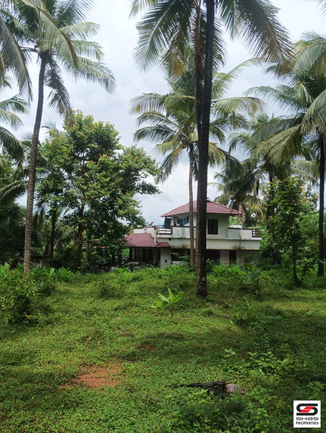 Land for sale in Ambalapara, Palakkad