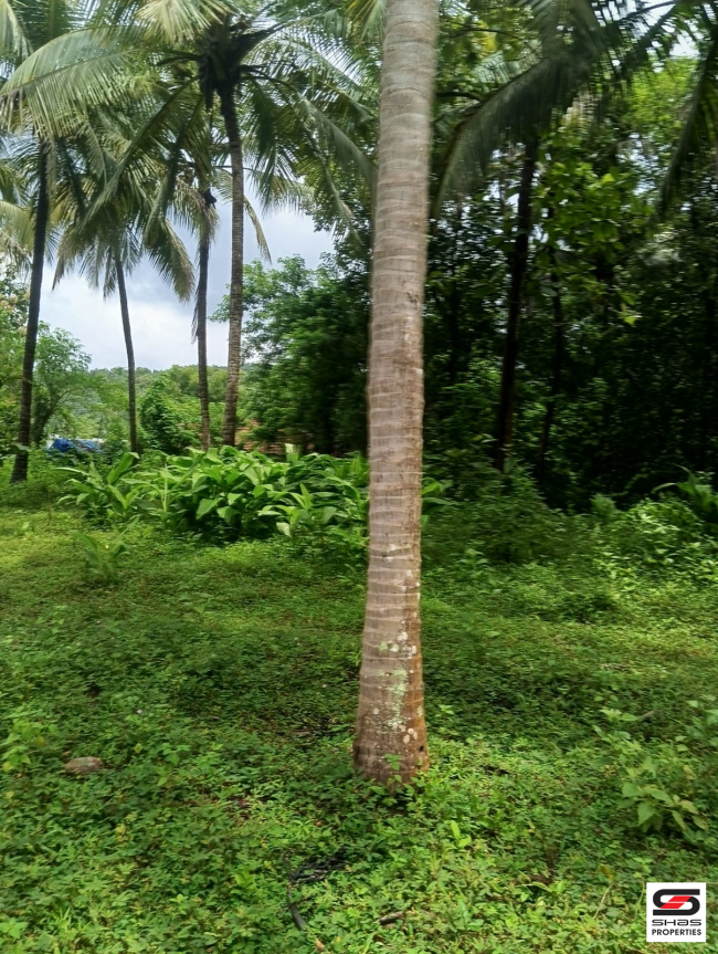 Land for sale in Ambalapara, Palakkad