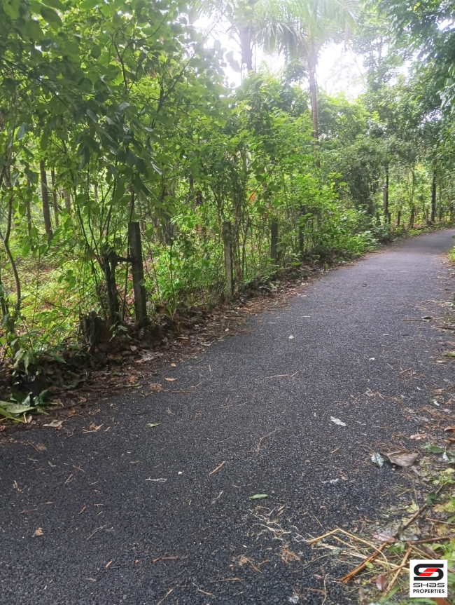 Land for sale in Ambalapara, Palakkad