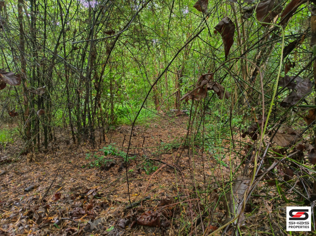 Plot for sale near Kinassery, Palakkad