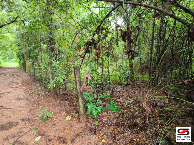 Plot for sale near Kinassery, Palakkad