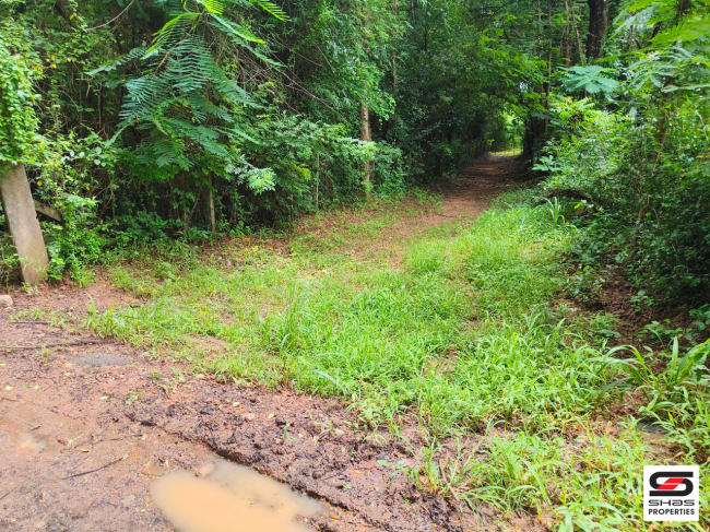 Plot for sale near Kinassery, Palakkad