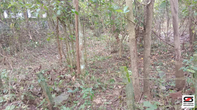 House plot for sale in Pookkottukavu, Palakkad