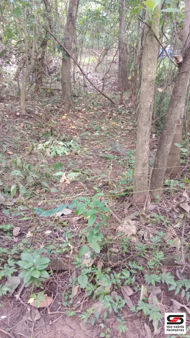 House plot for sale in Pookkottukavu, Palakkad