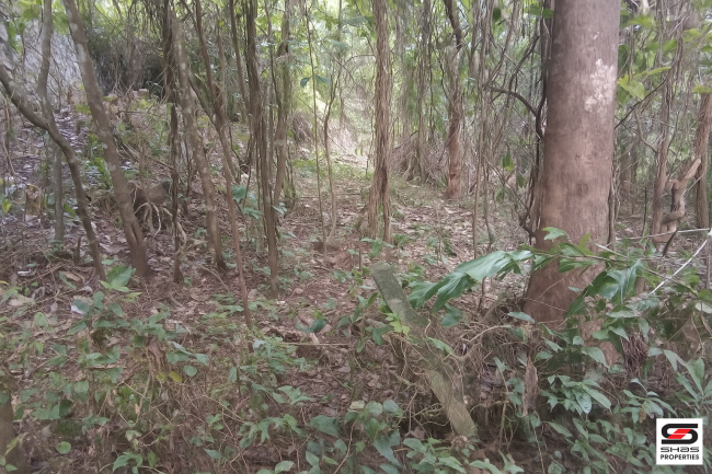 House plot for sale in Pookkottukavu, Palakkad