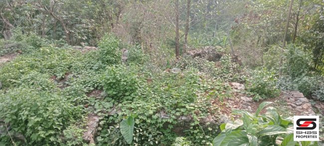House plot for sale in Chelikuzhy, Kottayam