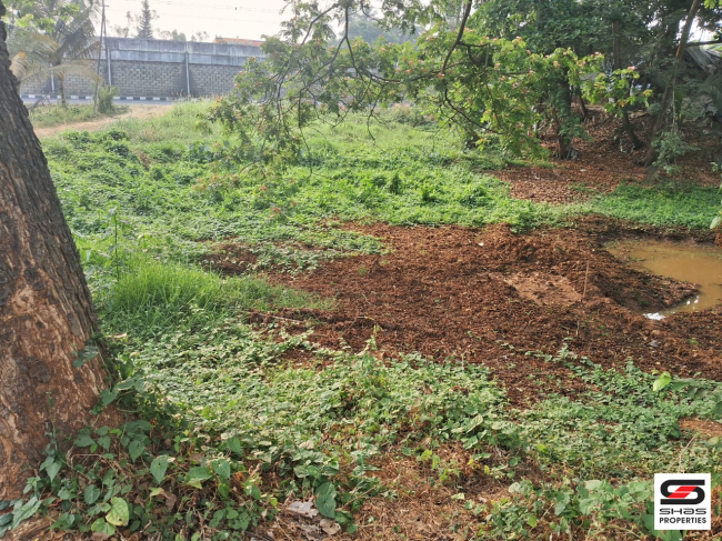 Semi commercial land for sale in Erimayur, Palakkad
