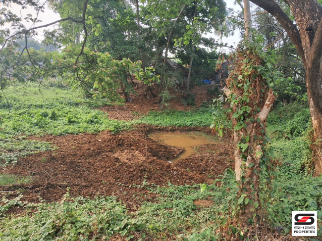 Semi commercial land for sale in Erimayur, Palakkad
