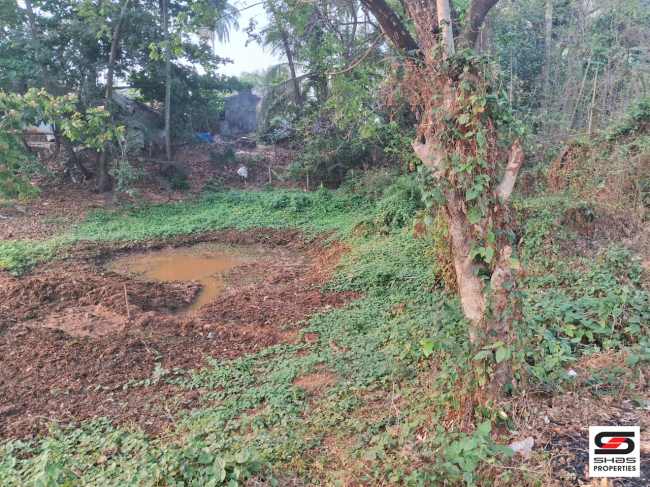 Semi commercial land for sale in Erimayur, Palakkad