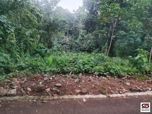 Land for sale in Mallapally, Pathanamthitta
