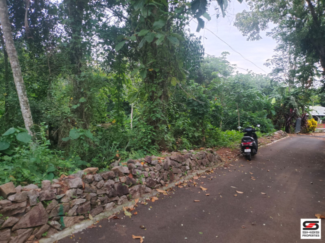 Land for sale in Mallapally, Pathanamthitta