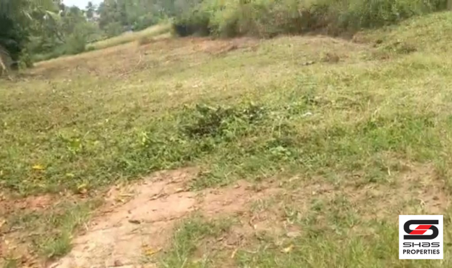 Land for sale near Athani, Ernakulam