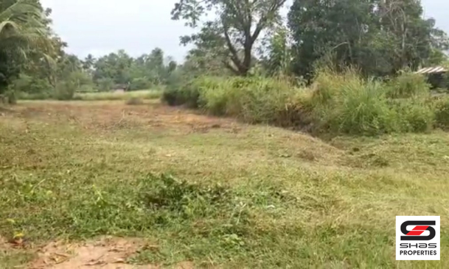 Land for sale near Athani, Ernakulam