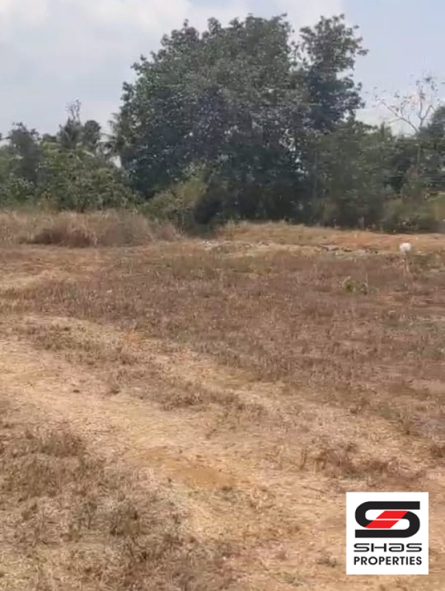 Land for sale near Athani, Ernakulam