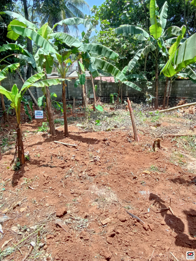House plot for sale in Cherpulassery, Palakkad