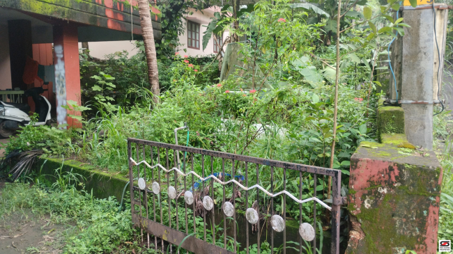 House plot for sale in Chala, Kannur