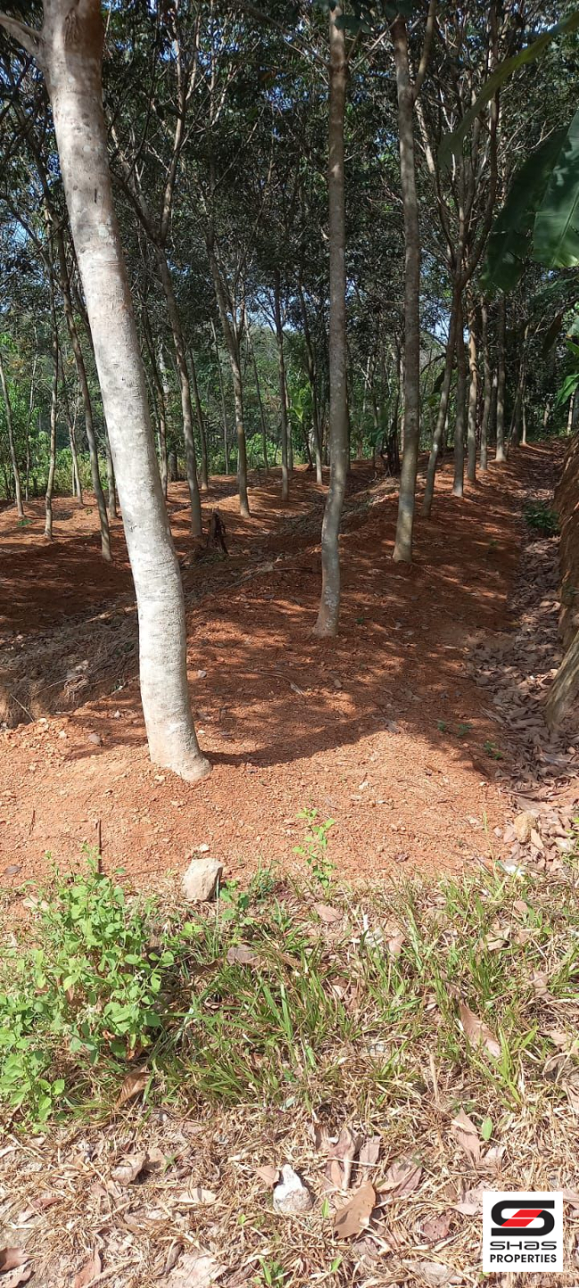 Rubber plot for sale near Pathanapuram, Kollam