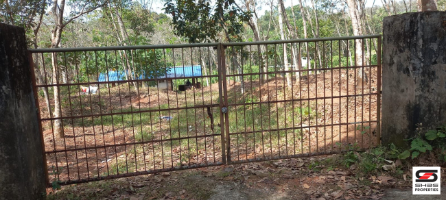 Rubber plot for sale near Pathanapuram, Kollam