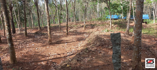 Rubber plot for sale near Pathanapuram, Kollam