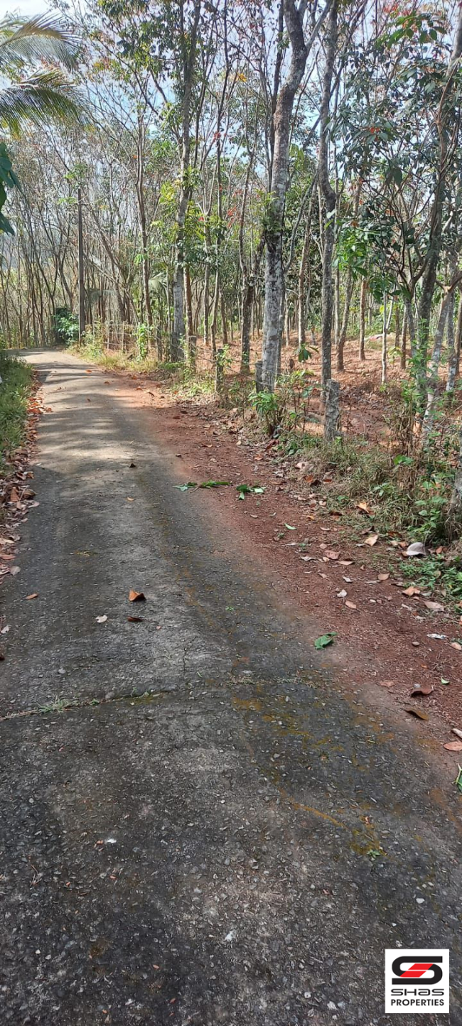 Rubber plot for sale near Pathanapuram, Kollam