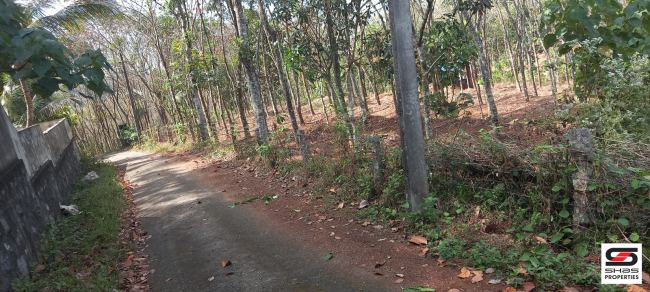 Rubber plot for sale near Pathanapuram, Kollam