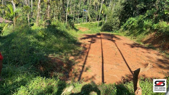 House plot for sale in Vaduvanchal, Wayanad