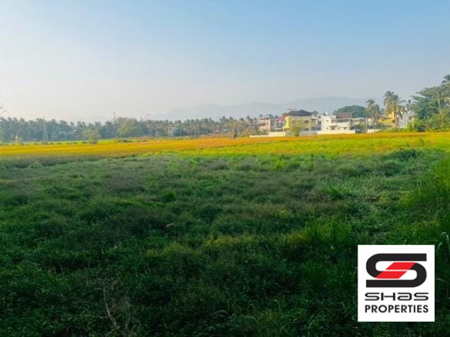 Land for sale in Kadamkode, Palakkad