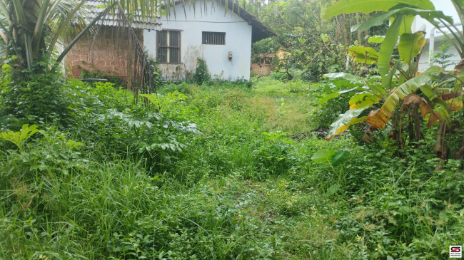 House plot for sale in Kakkad, Kannur