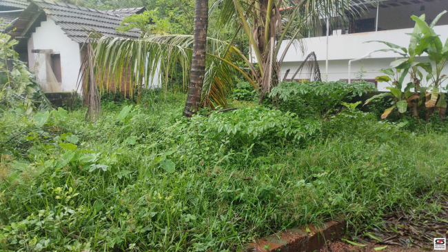 House plot for sale in Kakkad, Kannur