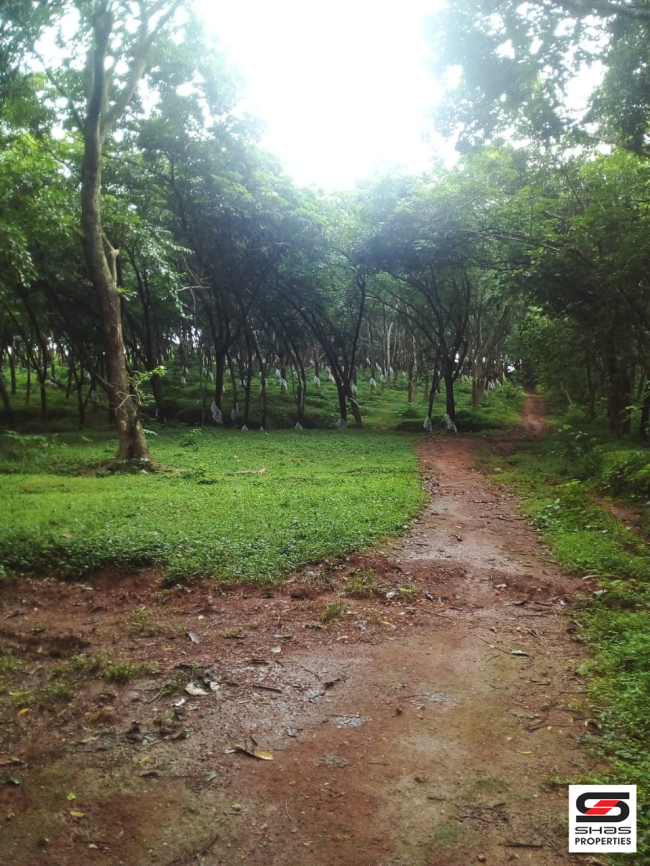 Rubber plot for sale in Peringode, Palakkad