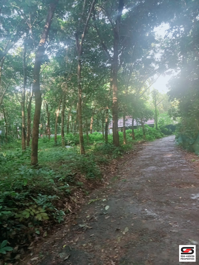Land for sale in Nemmara, Palakkad