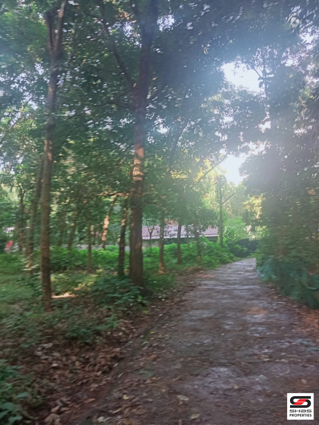 Land for sale in Nemmara, Palakkad