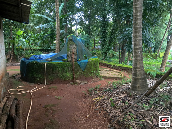 Land with house for sale in Vadanamkurussi, Palakkad
