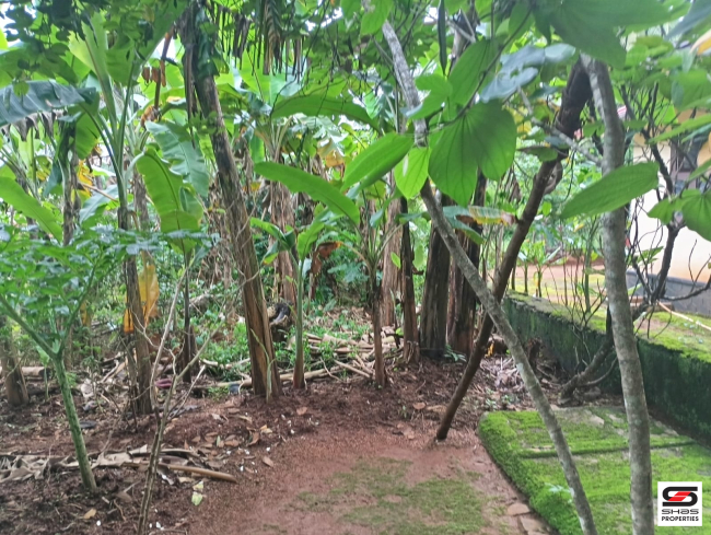 Land with house for sale in Vadanamkurussi, Palakkad