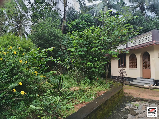 Land with house for sale in Vadanamkurussi, Palakkad