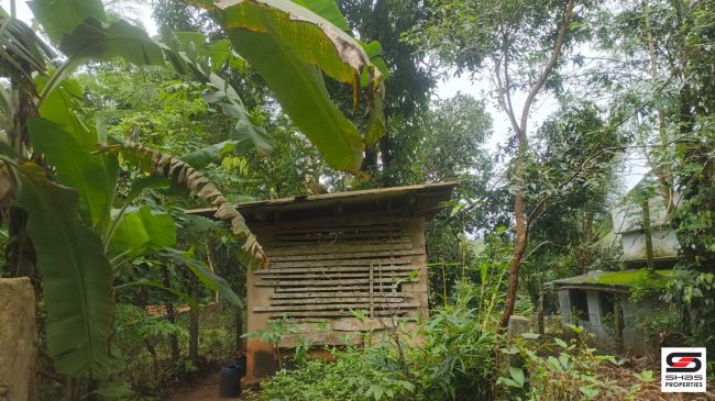 Rubber plot for sale in Palamokku, Palakkad