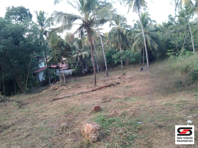 Plot for sale near Perinthalmanna, Malappuram