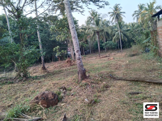 Plot for sale near Perinthalmanna, Malappuram