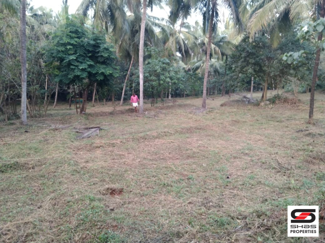 Plot for sale near Perinthalmanna, Malappuram